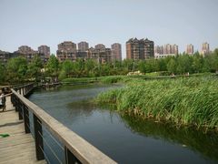 -前关湿地公园