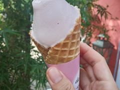-风车面包