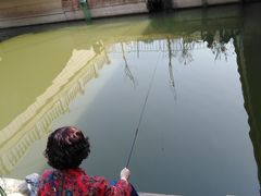 -艾溪湖湿地公园