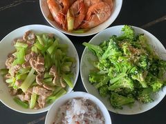 -田螺阿姨自营月嫂·育儿嫂(高新店)
