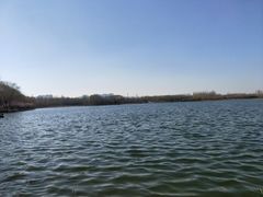 -大兴滨河森林公园