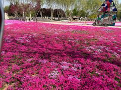 -石家庄市植物园