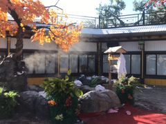 -顺峰海鲜酒楼(省府店)