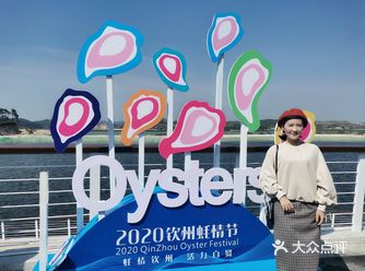 美食节 | 钦州蚝情节 | 一日游 |