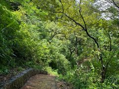 -飞霞风景名胜区