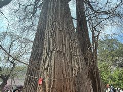 -潭柘寺景区