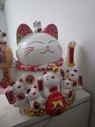 -莲芸拔罐减肥