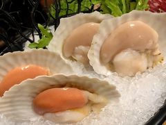 扇贝-湊湊火锅·茶憩(上海合生汇店)