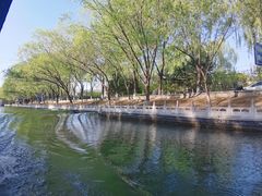 -皇家御河游(紫御湾码头)