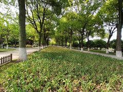 -上海鲜花港