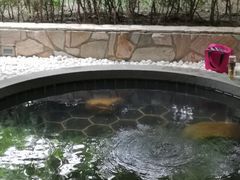-盘锦红海温泉乐园