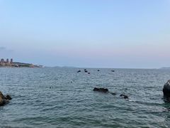 -泊石湾海滨浴场