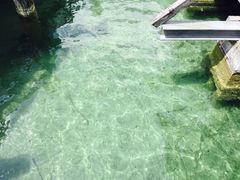-柯尼希湖