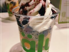 -Salud撒露欧洲冻酸奶(798艺术区店)