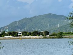 -芒洲湿地公园