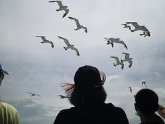 -海驴岛(荣成市)