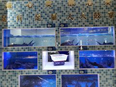 鲜鱼池-大河宴椒麻鱼(嘉和园店)