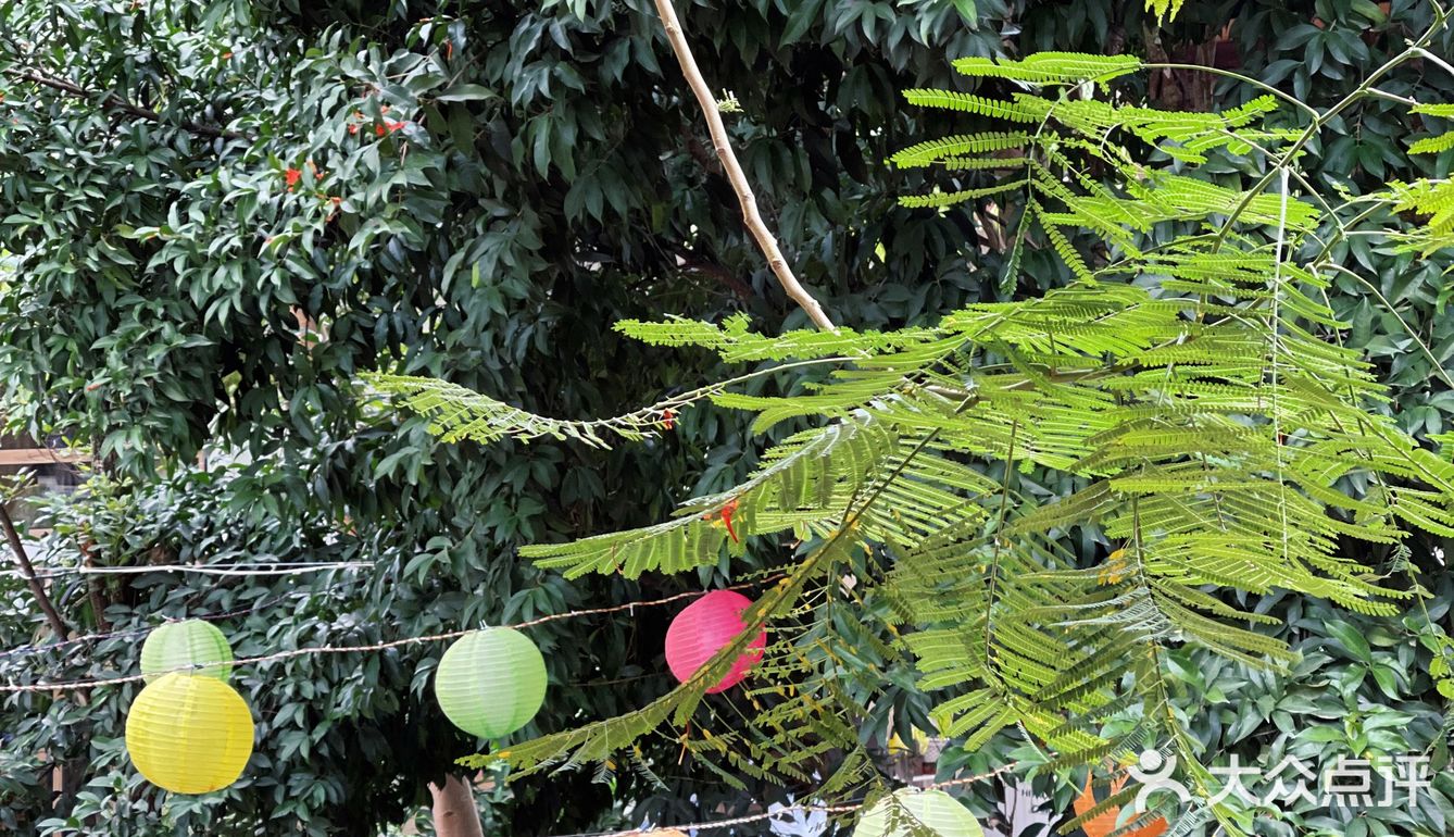 藏在告庄的宝藏傣味餐厅 入围了2024DP必吃榜哦