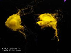 -北海市海滨公园