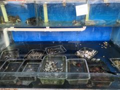 -海帮主·蒸汽海鲜青岛菜(栈桥火车站店)