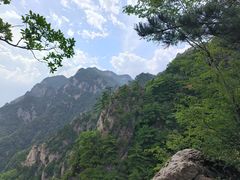 -王顺山国家森林公园