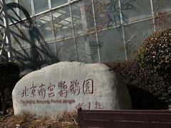 -南宫五洲植物乐园