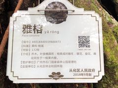 -广州市石门国家森林公园