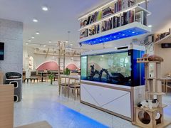 -喵园·猫主题咖啡厅·撸猫·猫咖(国贸店)