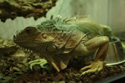 -Zoolung Zoolung动物主题公园(海信广场店)