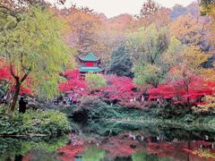 -岳麓山风景名胜区