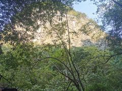 -千岛湖石林