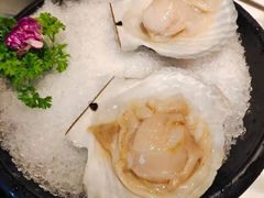 -汤城·料青山