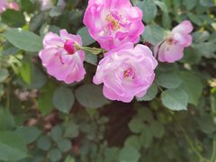 -白塘生态植物园