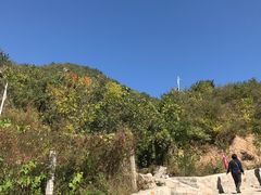 -大岭沟猕猴桃谷风景区
