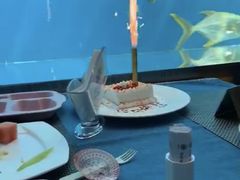 -瑞德姆美人鱼海底演艺主题餐厅(亚龙湾店)