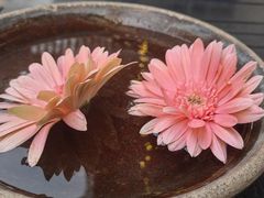 -都氏家DUSJOY(翡翠城店)