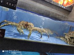 -徐记海鲜(大雁塔|金都店)