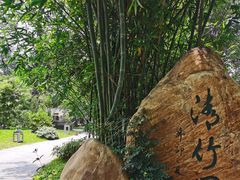 -晓港公园