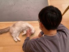 -猫咪派对(江南西店)