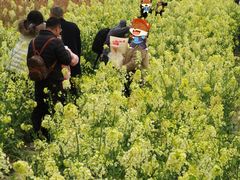 -三圣花乡旅游区