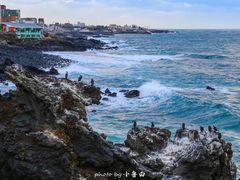-龙头岩(Dragon Head Rock)
