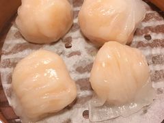 -点点心点心专门店(旺角店)