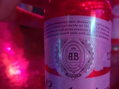 -苏荷酒吧(九街店)