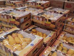 -盒马X会员店(王府井奥莱UP TOWN店)