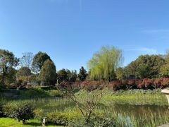 -天目湖涵田半山温泉