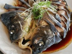 -夏雨路轩特色餐厅·十年经营