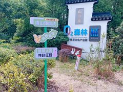 -天天鲜面馆(衡山路店)