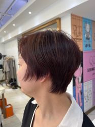 -镁连社·美联社