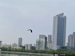 -迎泽公园
