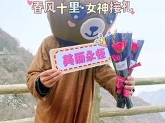 -少华山国家森林公园